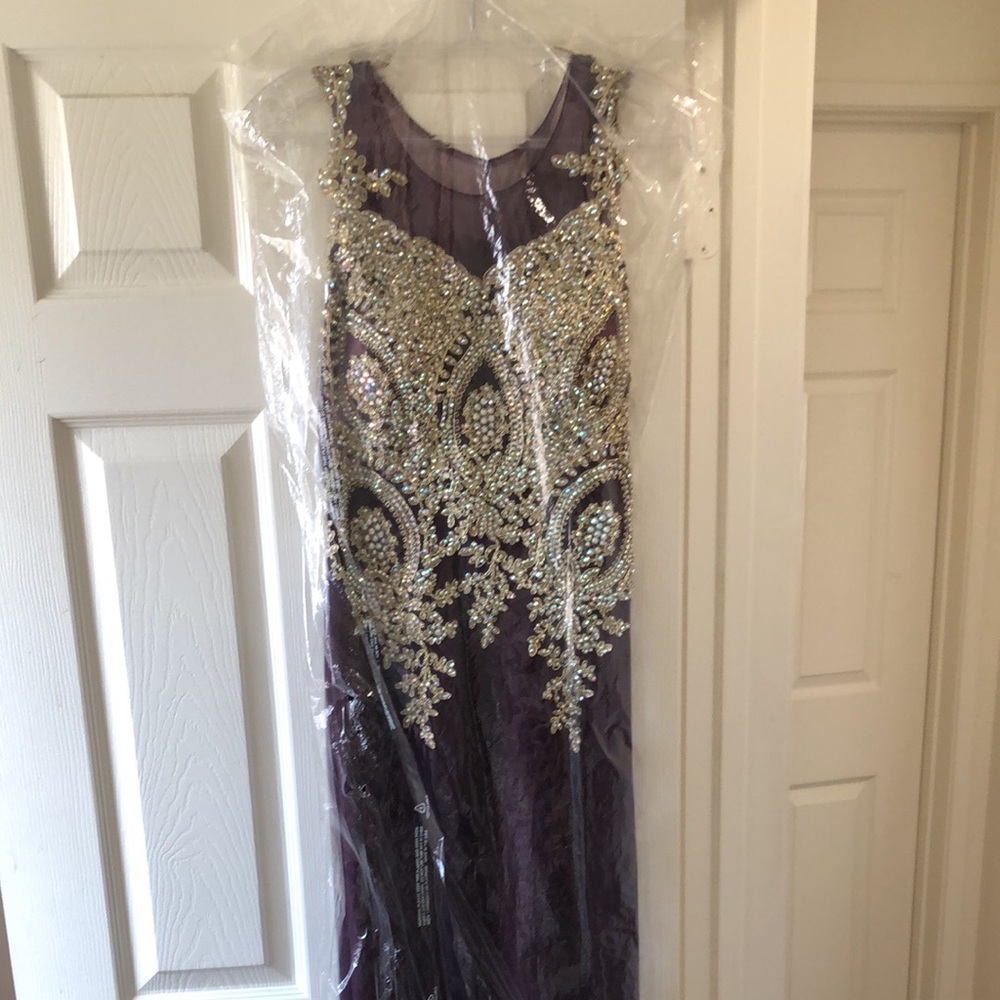 Fitted prom/ball gown